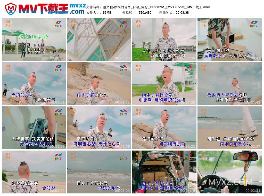 蔡文程-漂浪的运命_台语_流行_YF800761